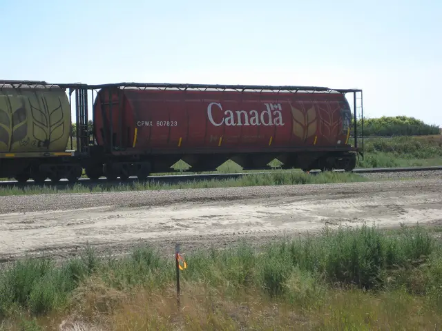 Canada grain hopper car beside the tracks